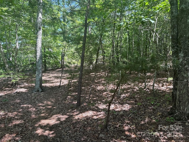 0 Crescent Ridge Lane 373, Nebo, NC 28761