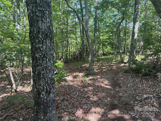 0 Crescent Ridge Lane 373, Nebo, NC 28761