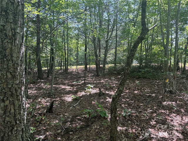 0 Crescent Ridge Lane 373, Nebo, NC 28761