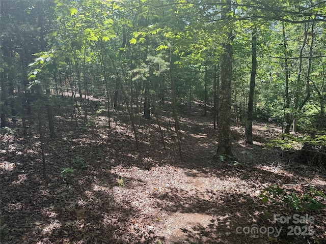 0 Crescent Ridge Lane 373, Nebo, NC 28761