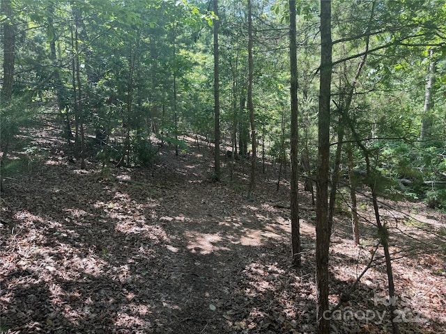 0 Crescent Ridge Lane 373, Nebo, NC 28761