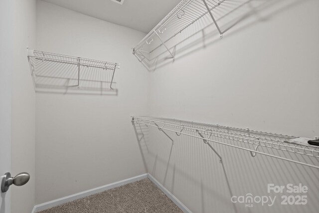853 Gerard Bay Dr, Fort Mill, SC 29715 - photo 28