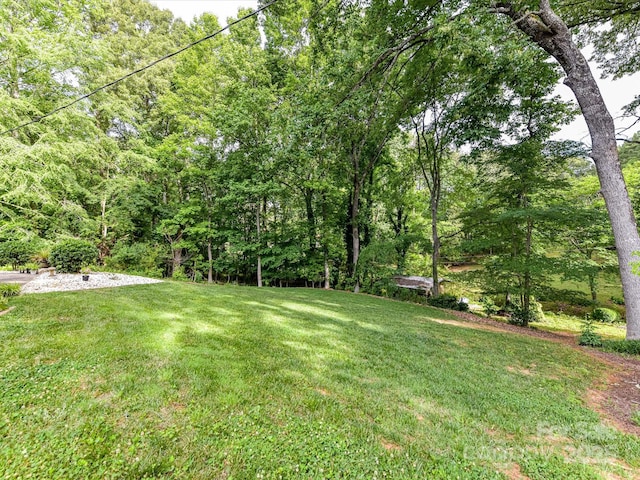 13617 Lake Bluff Dr, Matthews, NC 28105 - view of green lawn featuring a view of trees