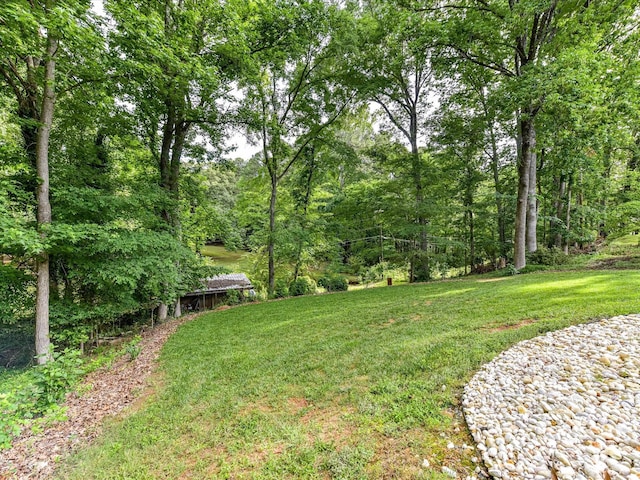 13617 Lake Bluff Dr, Matthews, NC 28105 - view of green lawn featuring a wooded view