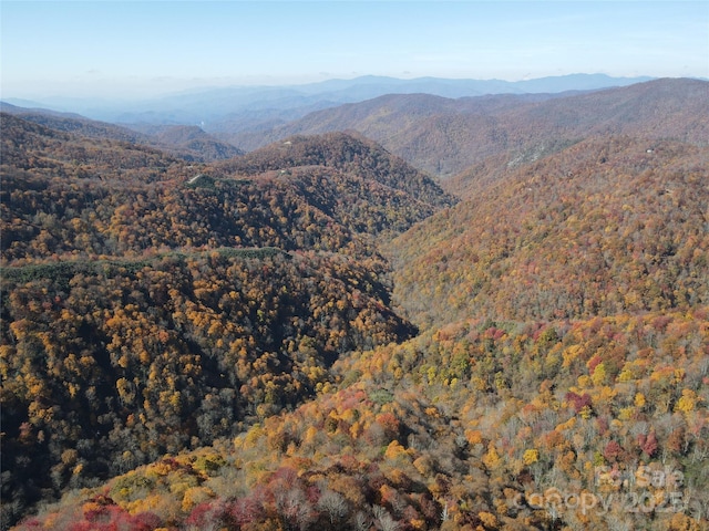 3689 Plott Balsam Rd, Maggie Valley, NC 28779