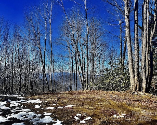 3689 Plott Balsam Rd, Maggie Valley, NC 28779