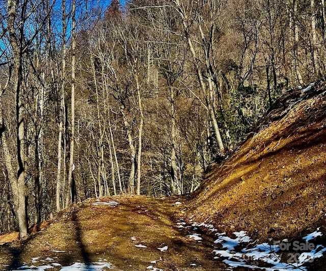 3689 Plott Balsam Rd, Maggie Valley, NC 28779
