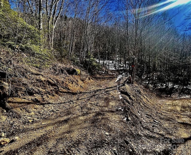 3689 Plott Balsam Rd, Maggie Valley, NC 28779