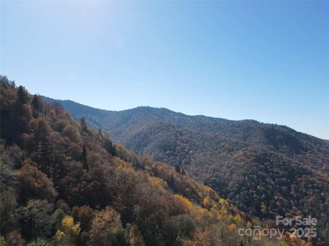 3689 Plott Balsam Rd, Maggie Valley, NC 28779