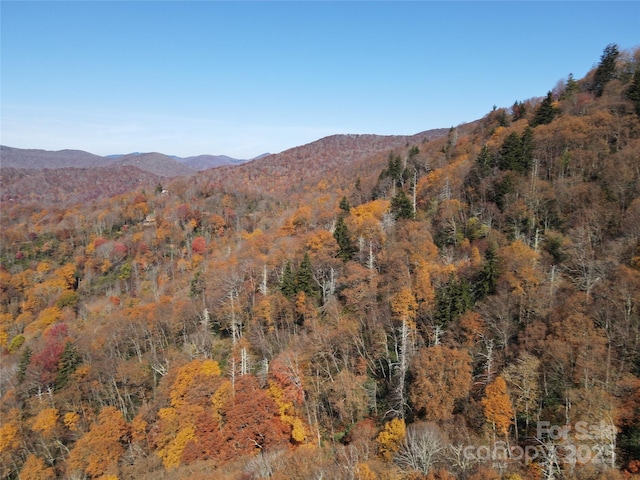 3689 Plott Balsam Rd, Maggie Valley, NC 28779