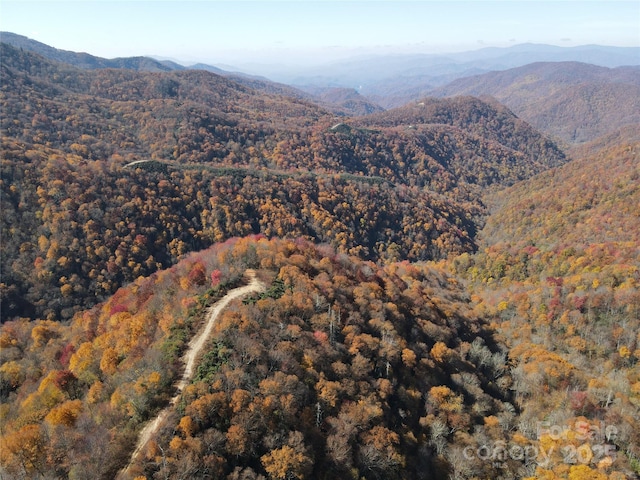 3689 Plott Balsam Rd, Maggie Valley, NC 28779