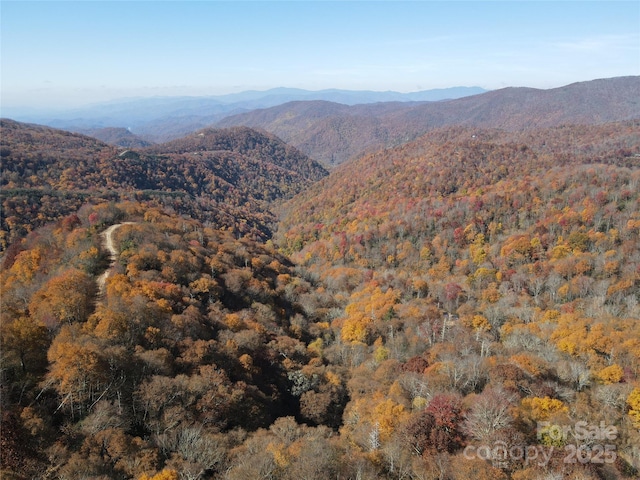 3689 Plott Balsam Rd, Maggie Valley, NC 28779