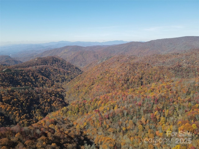 3689 Plott Balsam Rd, Maggie Valley, NC 28779