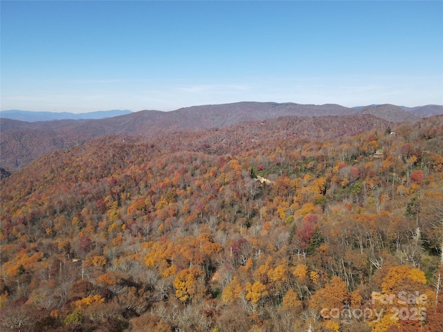 3689 Plott Balsam Rd, Maggie Valley, NC 28779
