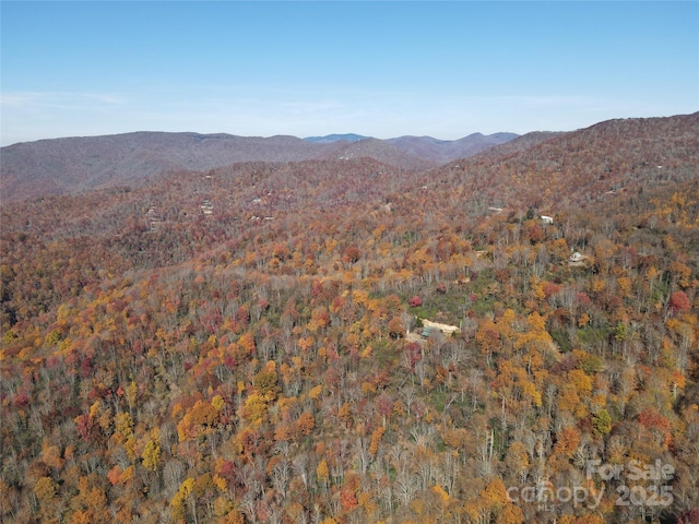 3689 Plott Balsam Rd, Maggie Valley, NC 28779