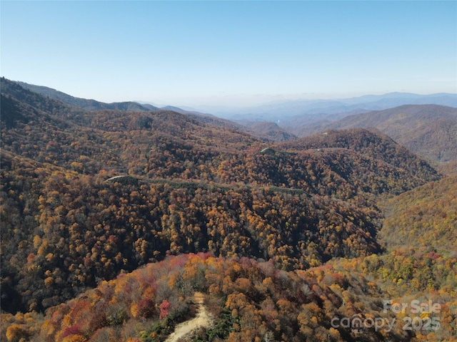 3689 Plott Balsam Rd, Maggie Valley, NC 28779