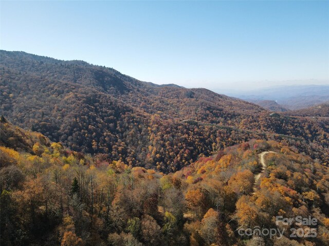 3689 Plott Balsam Rd, Maggie Valley, NC 28779