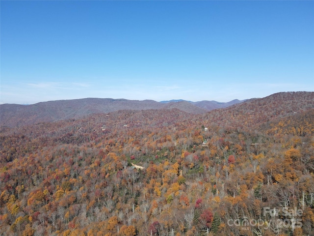 3689 Plott Balsam Rd, Maggie Valley, NC 28779