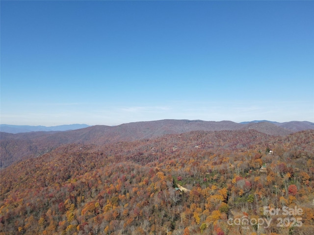3689 Plott Balsam Rd, Maggie Valley, NC 28779
