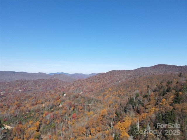 3689 Plott Balsam Rd, Maggie Valley, NC 28779