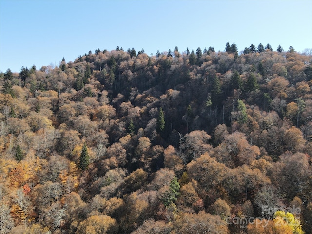 3689 Plott Balsam Rd, Maggie Valley, NC 28779
