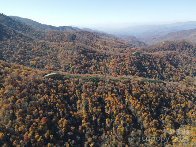 3689 Plott Balsam Rd, Maggie Valley, NC 28779