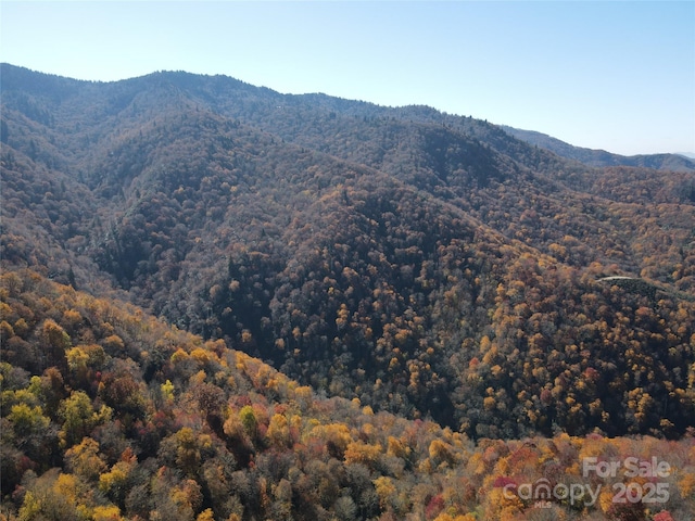 3689 Plott Balsam Rd, Maggie Valley, NC 28779
