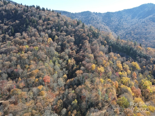 3689 Plott Balsam Rd, Maggie Valley, NC 28779
