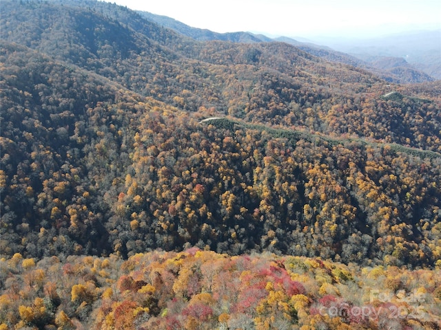 3689 Plott Balsam Rd, Maggie Valley, NC 28779
