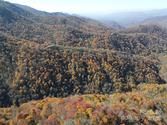 3689 Plott Balsam Rd, Maggie Valley, NC 28779