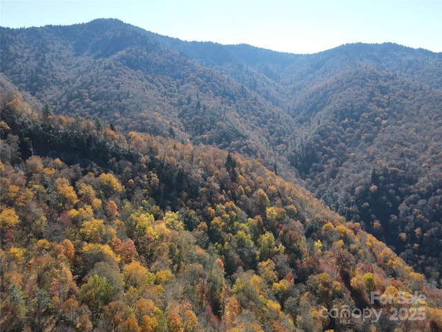 3689 Plott Balsam Rd, Maggie Valley, NC 28779