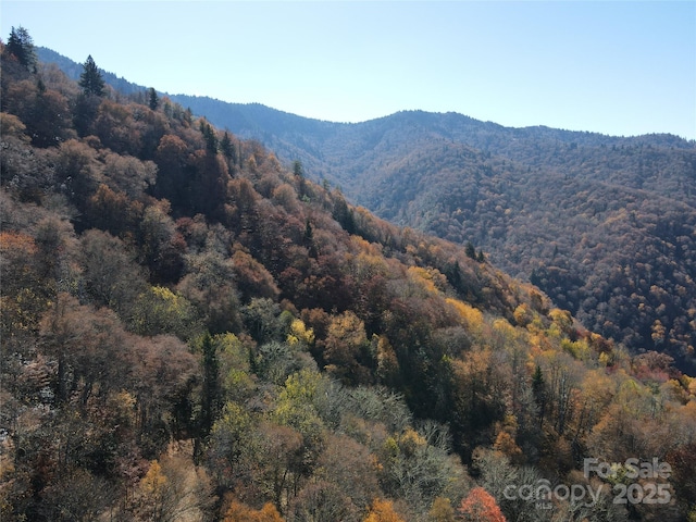 3689 Plott Balsam Rd, Maggie Valley, NC 28779