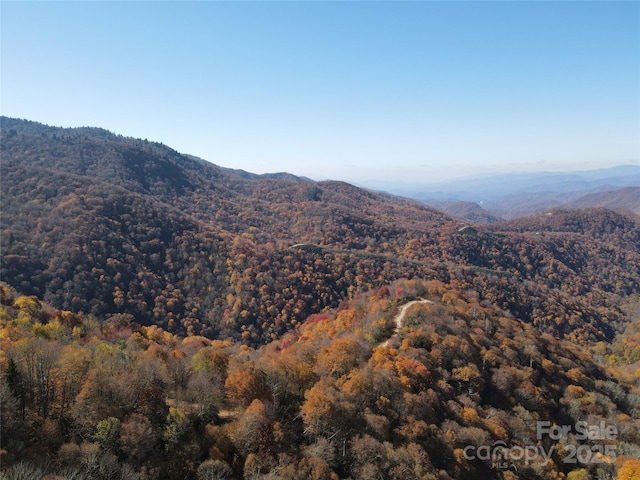 3689 Plott Balsam Rd, Maggie Valley, NC 28779