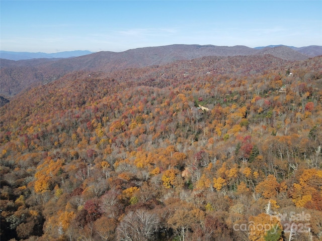3689 Plott Balsam Rd, Maggie Valley, NC 28779