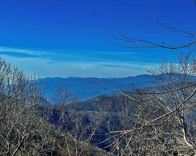 3689 Plott Balsam Rd, Maggie Valley, NC 28779