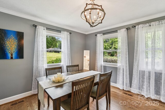 350 Pritchard Rd, Candler, NC 28715 - photo 11