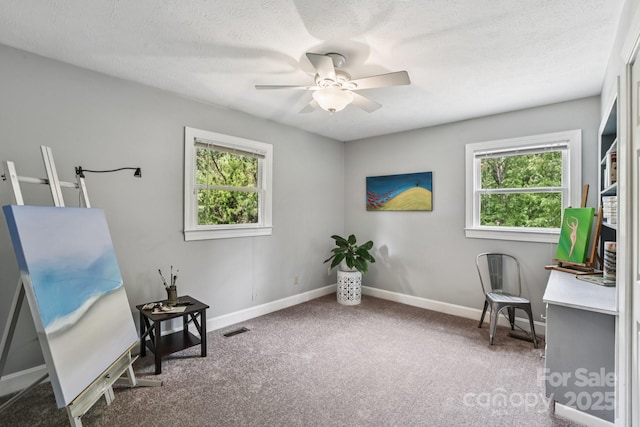 350 Pritchard Rd, Candler, NC 28715 - photo 18