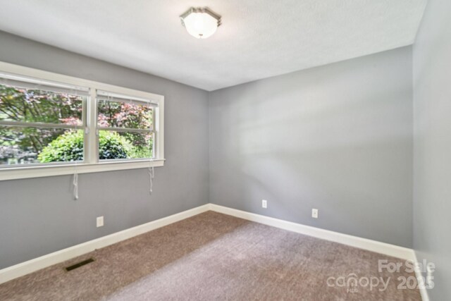 350 Pritchard Rd, Candler, NC 28715 - photo 20