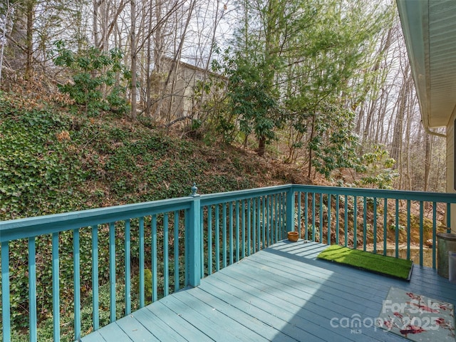 374 Sleepy Hollow Dr, Waynesville, NC 28785 - photo 18