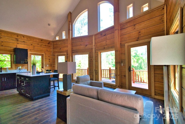 317 Knightsbridge Cir, Union Mills, NC 28167 - living room featuring dark wood-style flooring, healthy amount of natural light, wood walls, and high vaulted ceiling