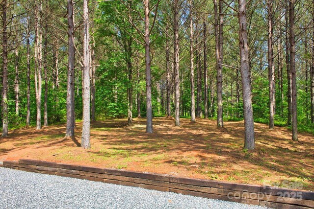317 Knightsbridge Cir, Union Mills, NC 28167 - view of yard