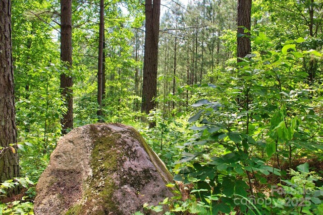 317 Knightsbridge Cir, Union Mills, NC 28167 - view of wooded area