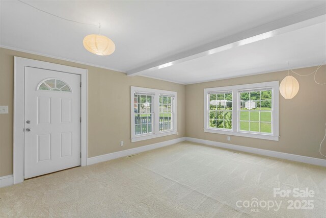 202 Glenn Ave, Kannapolis, NC 28081 - carpeted foyer entrance featuring baseboards and crown molding