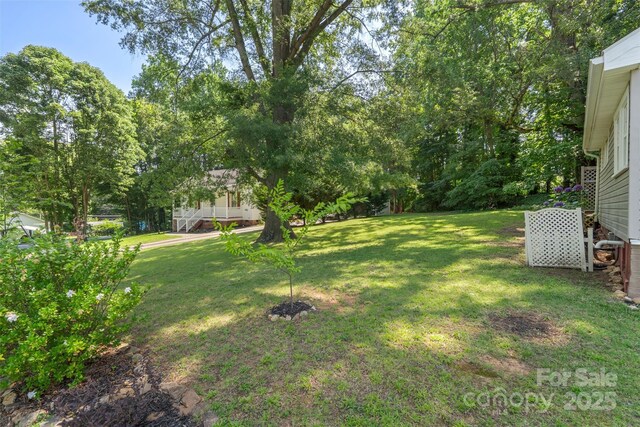 202 Glenn Ave, Kannapolis, NC 28081 - view of green lawn
