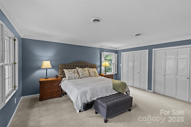 2917 Rustic Ln, Charlotte, NC 28210 - bedroom with carpet flooring, crown molding, and two closets