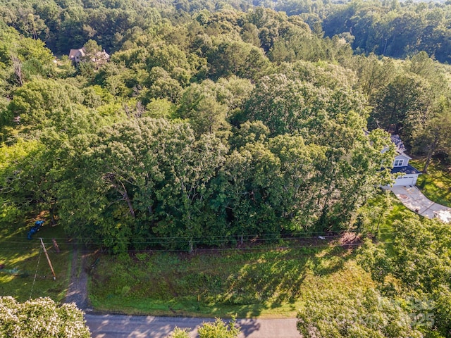 11201 Johnson Davis Rd, Huntersville, NC 28078 - photo 22