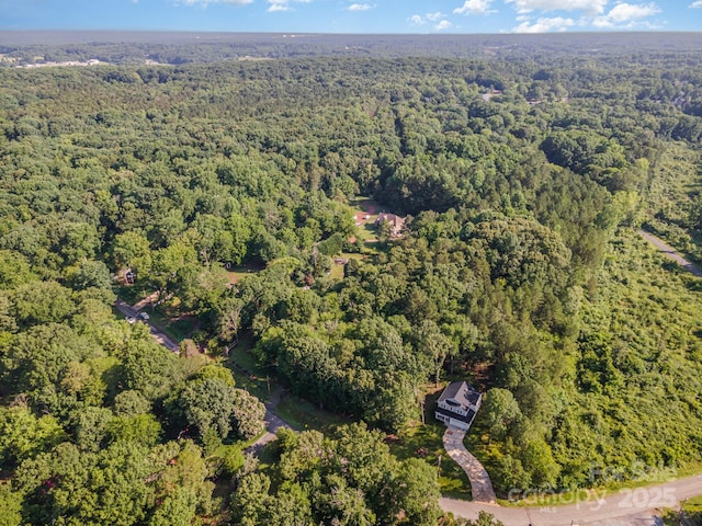 11201 Johnson Davis Rd, Huntersville, NC 28078 - photo 26