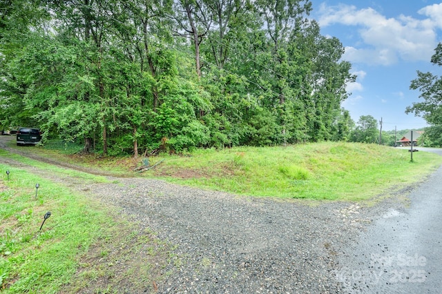 11201 Johnson Davis Rd, Huntersville, NC 28078 - photo 16