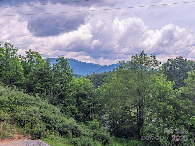 558 Liner Cove Rd, Waynesville, NC 28786 - mountain view featuring a forest