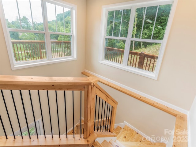 558 Liner Cove Rd, Waynesville, NC 28786 - stairs with plenty of natural light